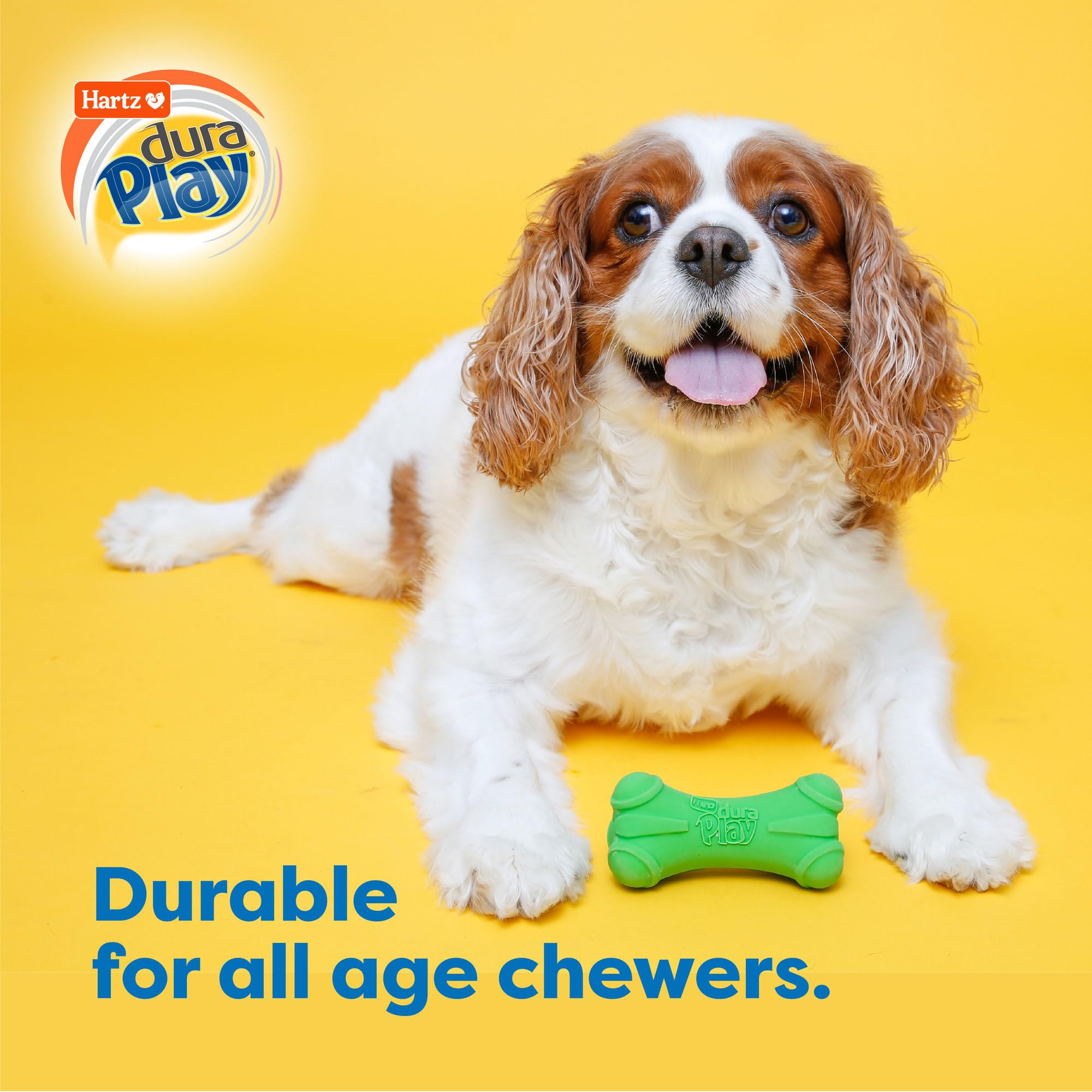 Hartz DuraPlay chien rapportant os stimulant exercice