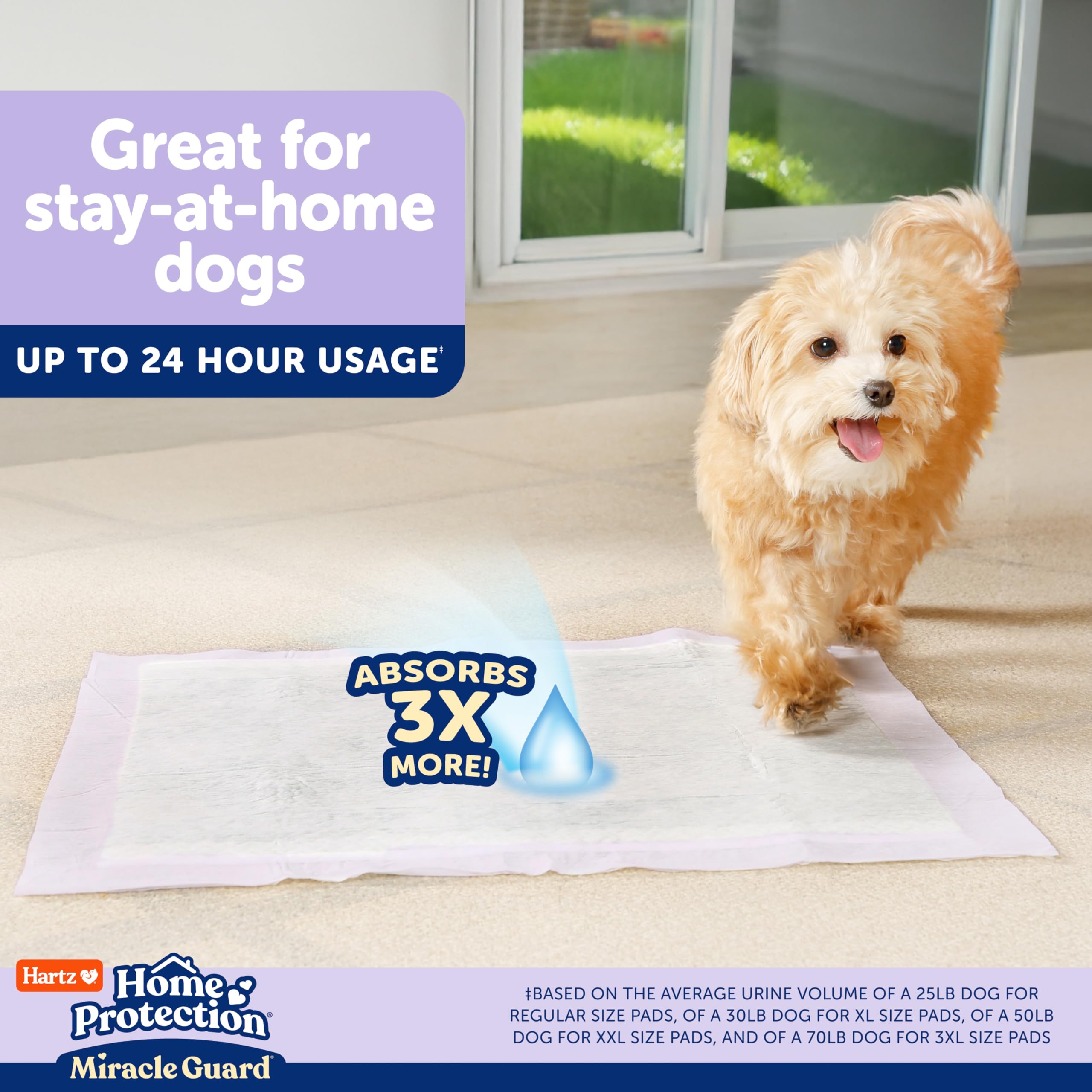 Hartz chiot utilisant le tapis pour un entraînement propre