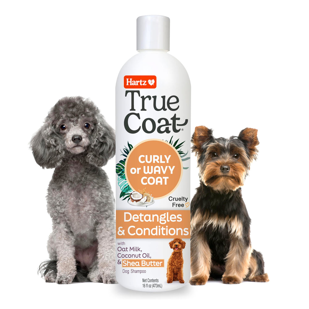 Hartz bouteille True Coat Curly or Wavy montrant l'emballage et l'usage pratique