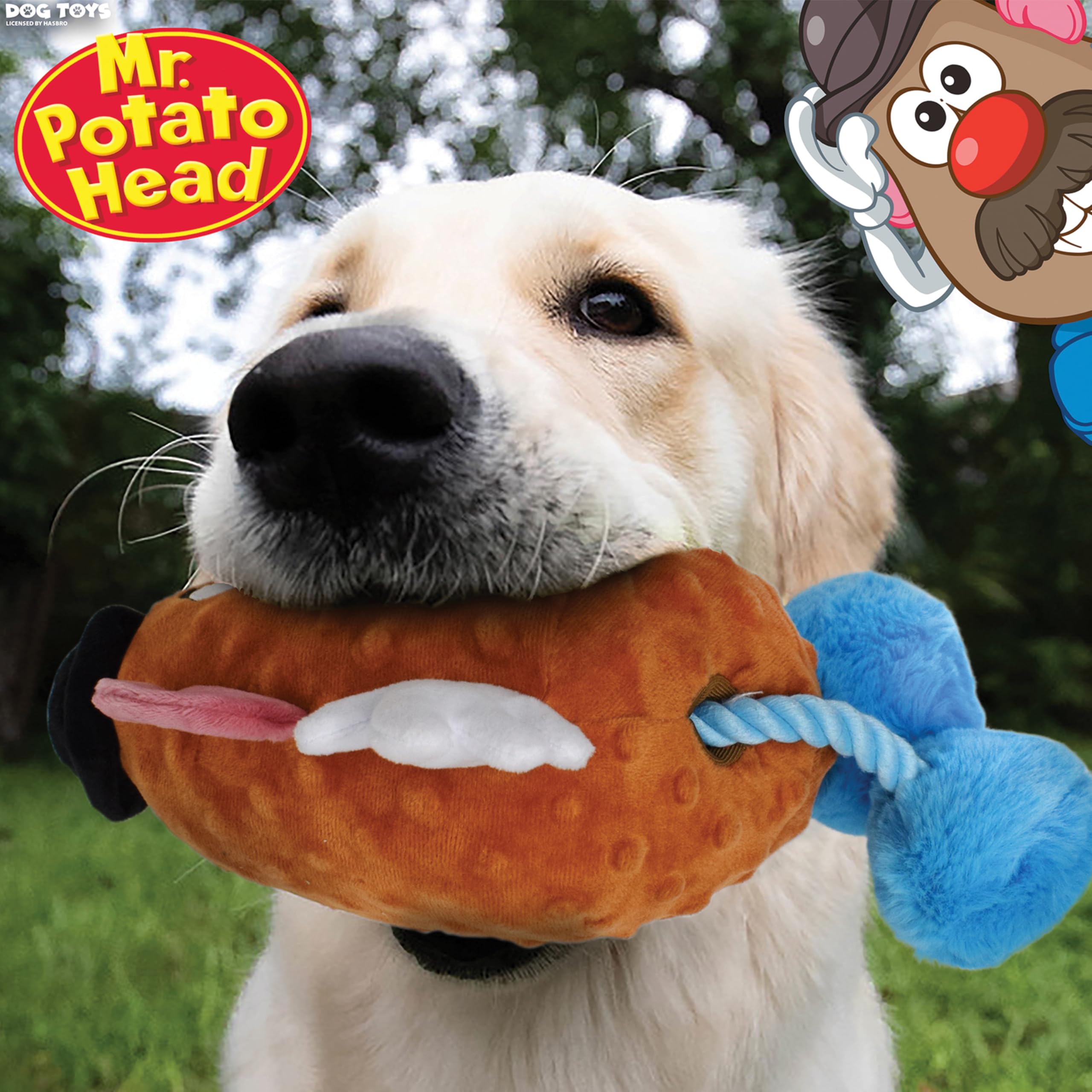 Hasbro Mr. Potato Head comparaison d'échelle montrant la taille 28 cm pour choix