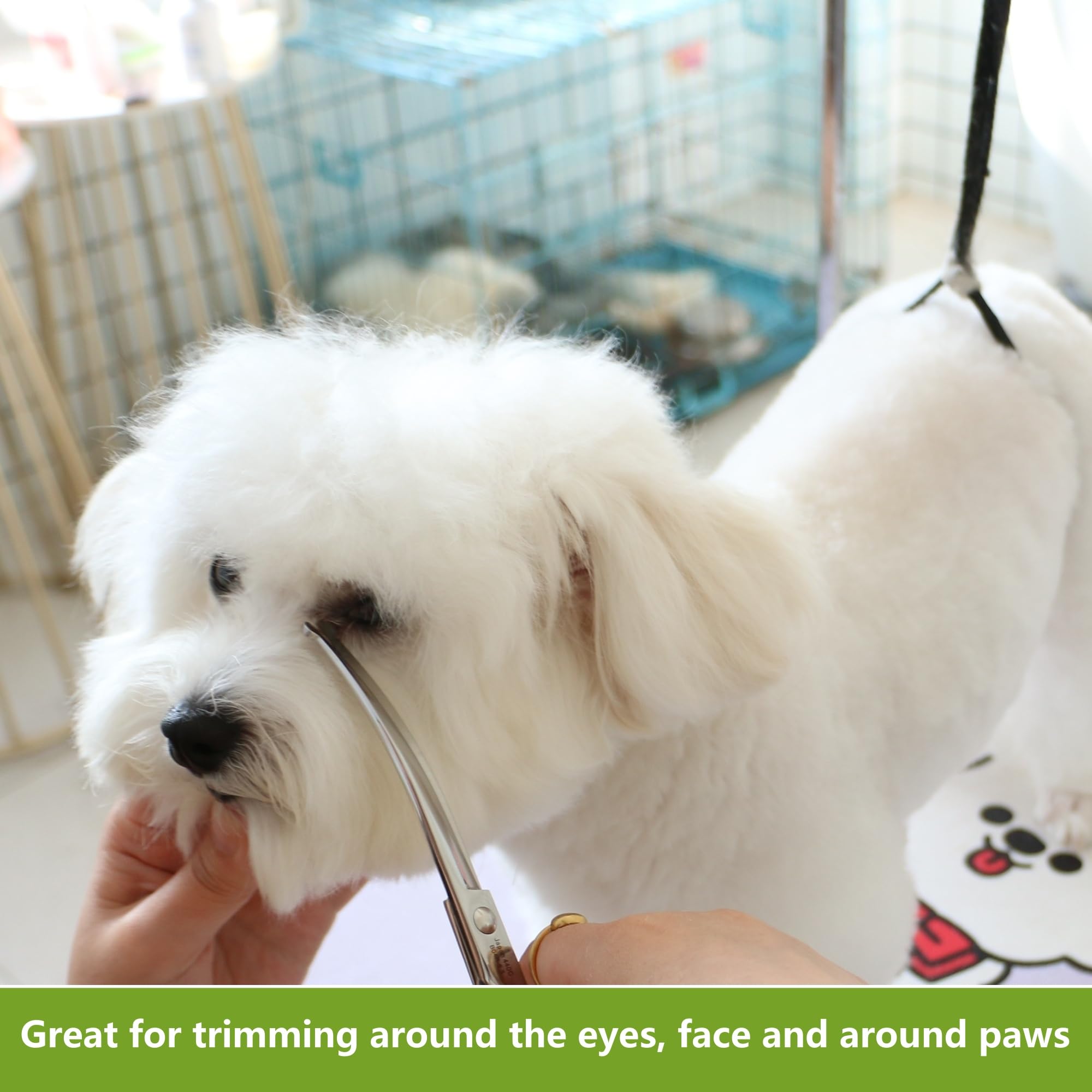 HASHIMOTO ciseaux en cours d'utilisation sur chien offrant contrôle et sécurité