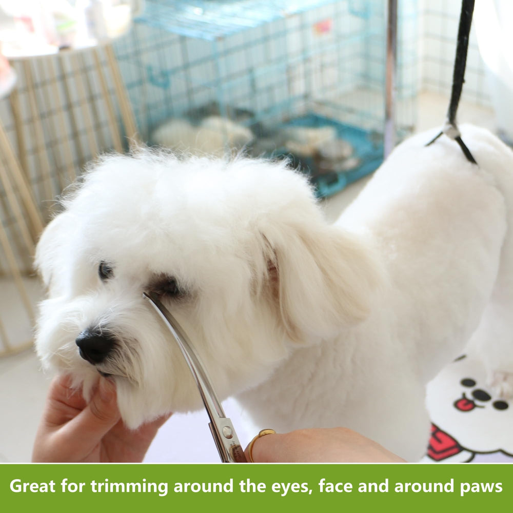 HASHIMOTO ciseaux en cours d'utilisation sur chien offrant contrôle et sécurité