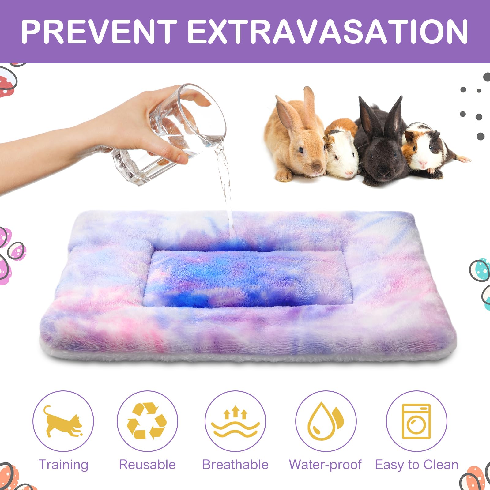 Haull comparaison taille avec main illustrant format 13 x 10 pouces