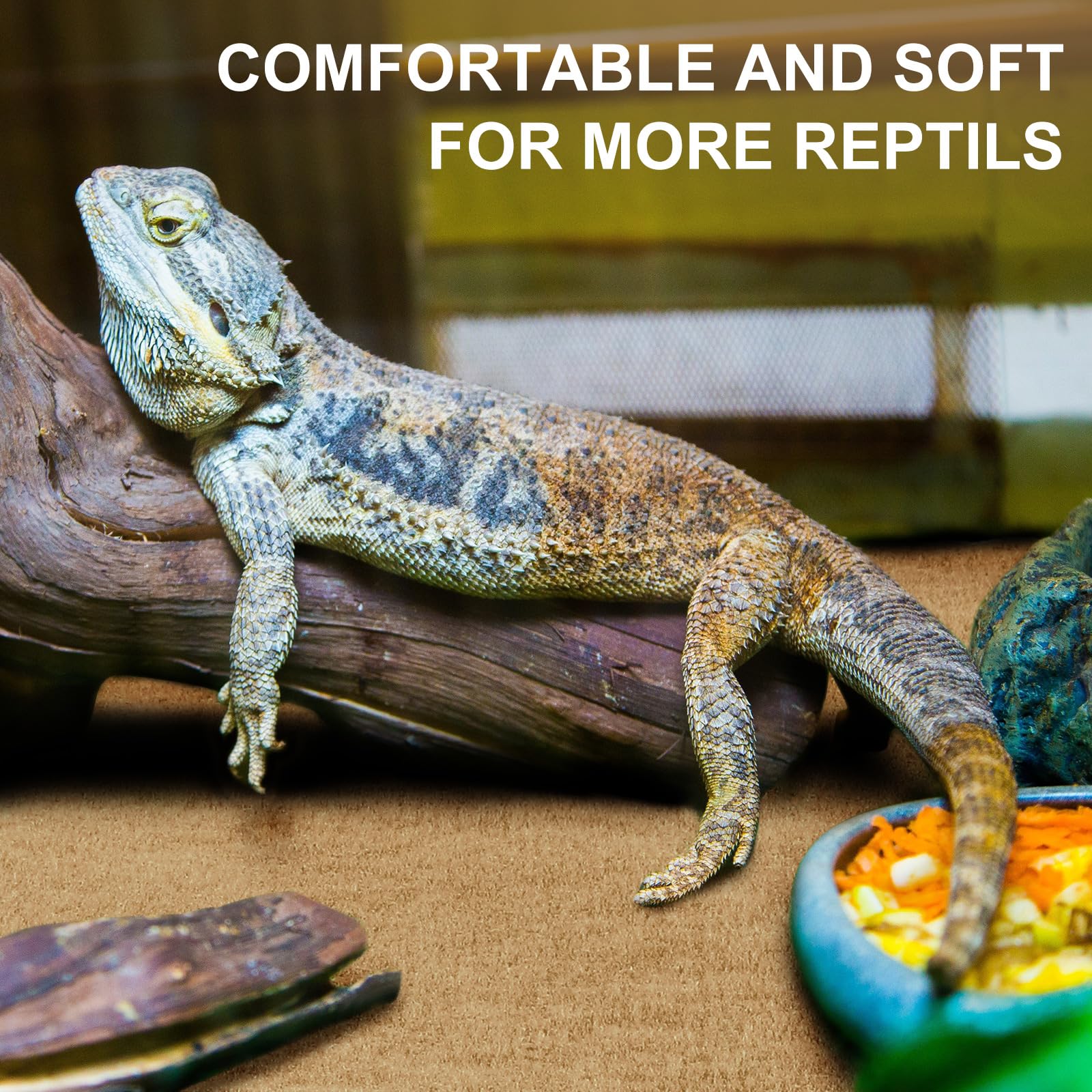Haull tapis installé dans terrarium avec reptile, surface sécurisante