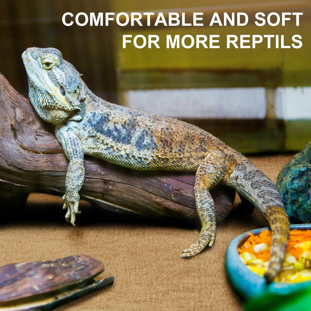 Haull tapis installé dans terrarium avec reptile, surface sécurisante