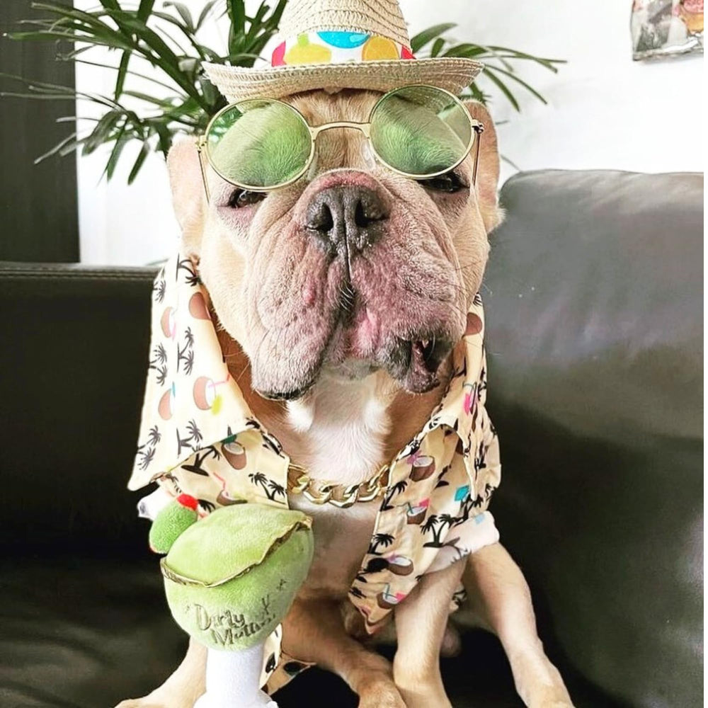 Haute Diggity Dog Dirty Muttini broderies dorées, finition élégante et résistante