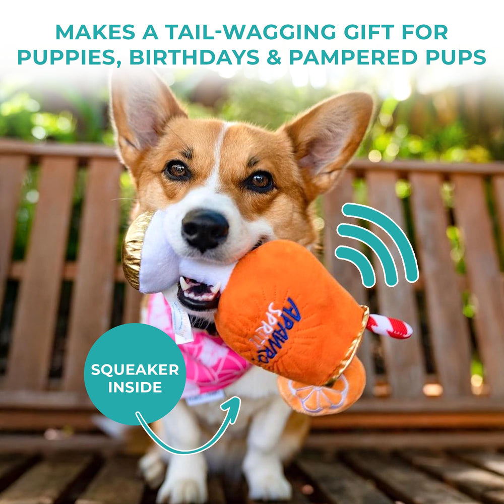 Haute Diggity Dog échelle en main montrant taille compacte et maniabilité