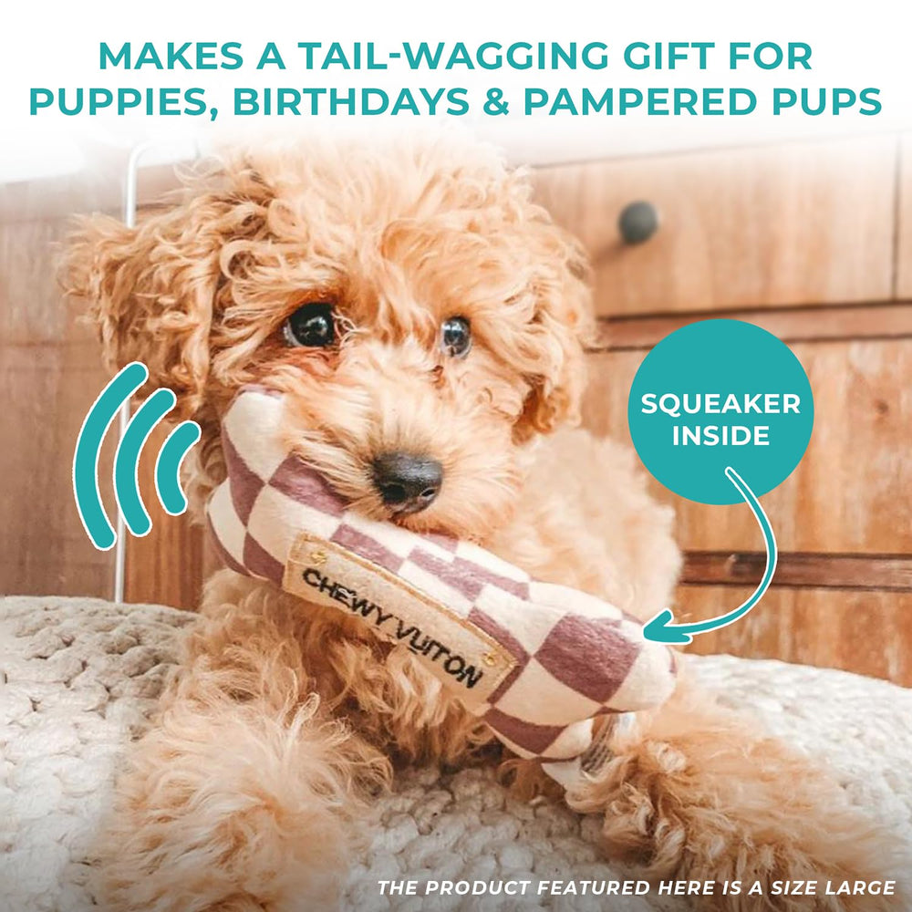 Haute Diggity Dog chien jouant pour encourager activité et lien