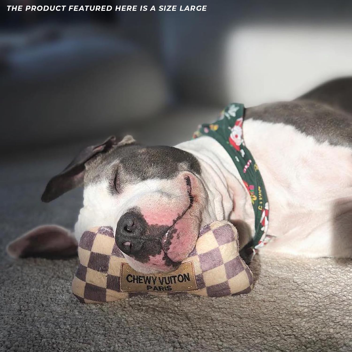 Haute Diggity Dog jouet dans panier illustrant moment de repos