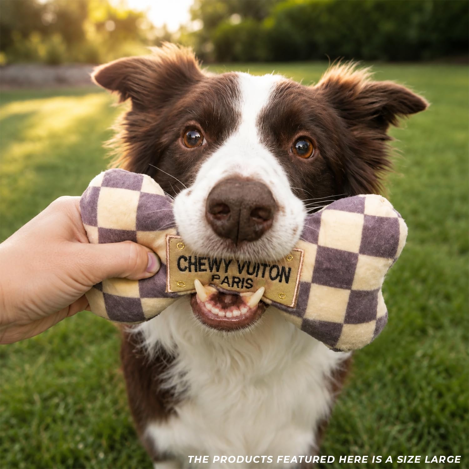 Haute Diggity Dog emballage cadeau prêt à offrir pour fêtes