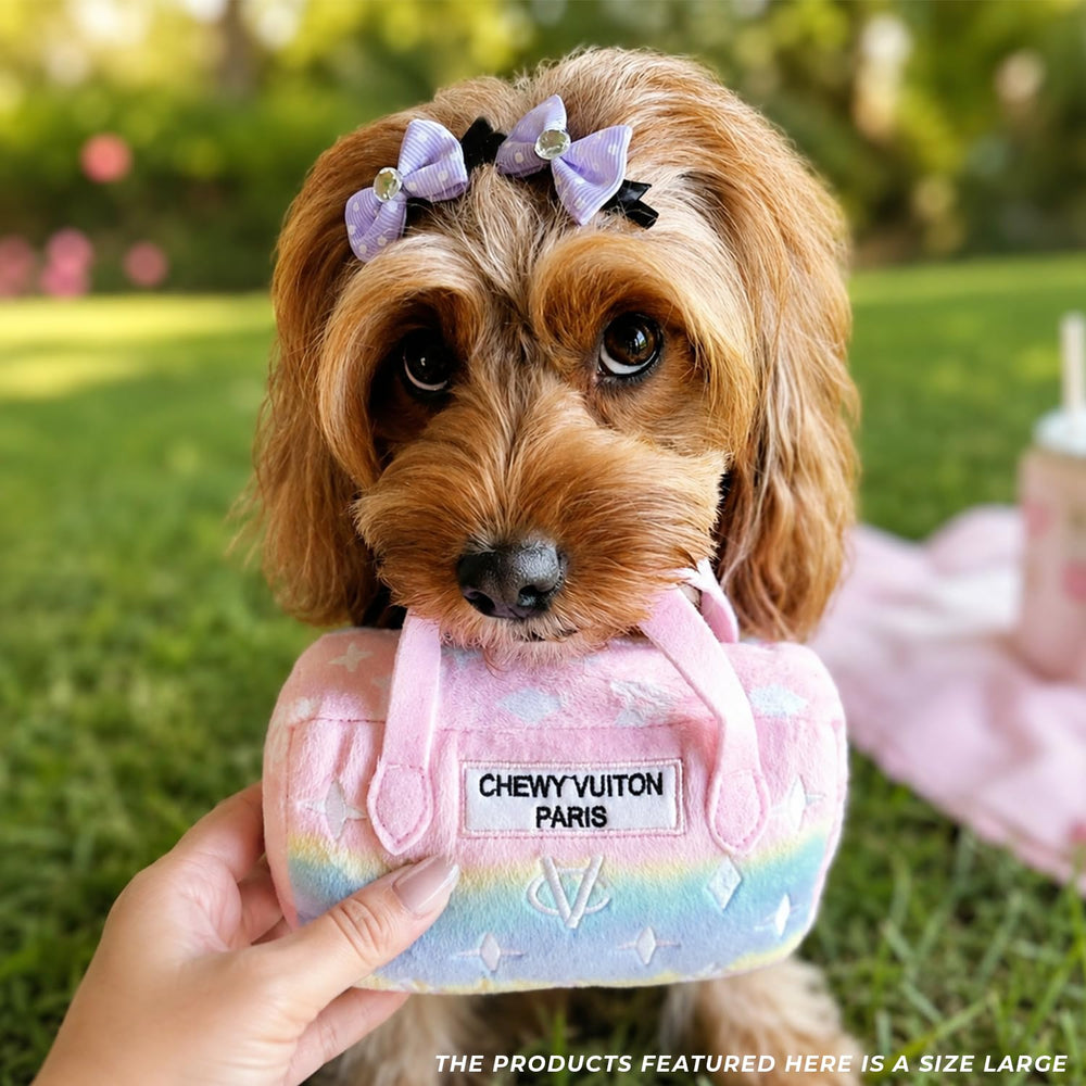 Haute Diggity Dog peluche prête pour lavage machine, entretien facile