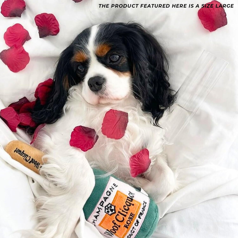 Haute Diggity Dog emballage et étiquette montrant les instructions d’entretien pratiques