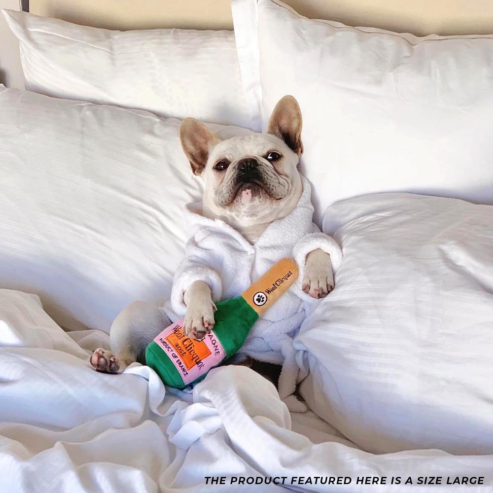 Haute Diggity Dog mise en scène canapé illustrant l’intégration au décor domestique