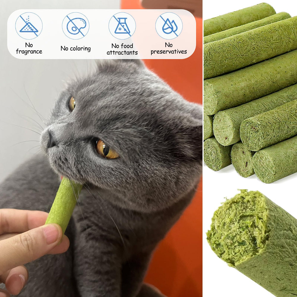 HavenJanny scène lifestyle chat détendu sur canapé après friandise