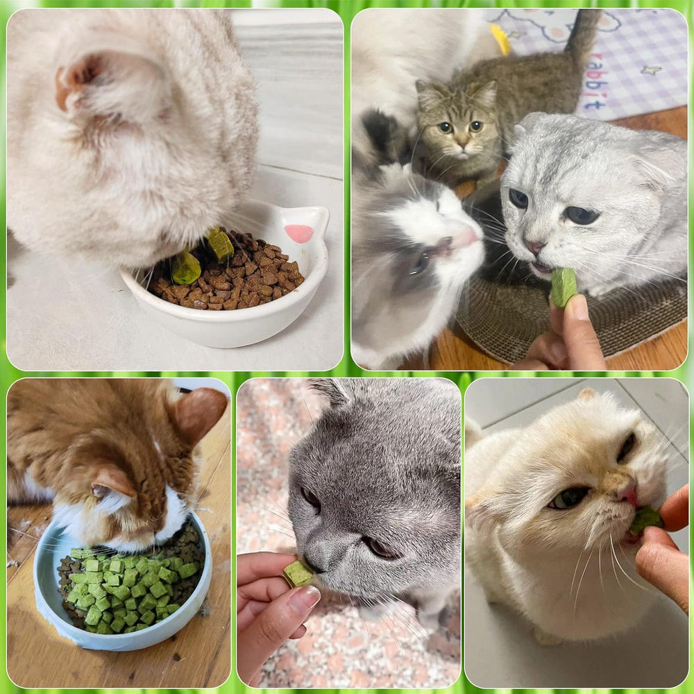 HavenJanny lifestyle intérieur scène chat heureux et usage quotidien pratique