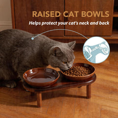 Chat utilisant bol Havniva pour manger confortablement bénéfice posture naturelle
