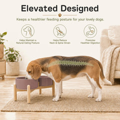 Havniva gamelles en usage avec chien moyen pour repas confortable