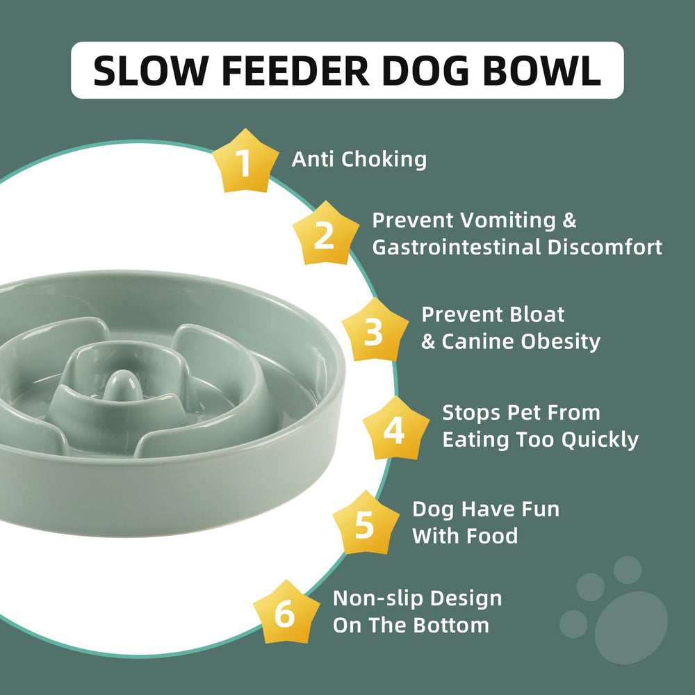 Havniva gamelle en usage par petit chien, encourage repas plus lents et calmes