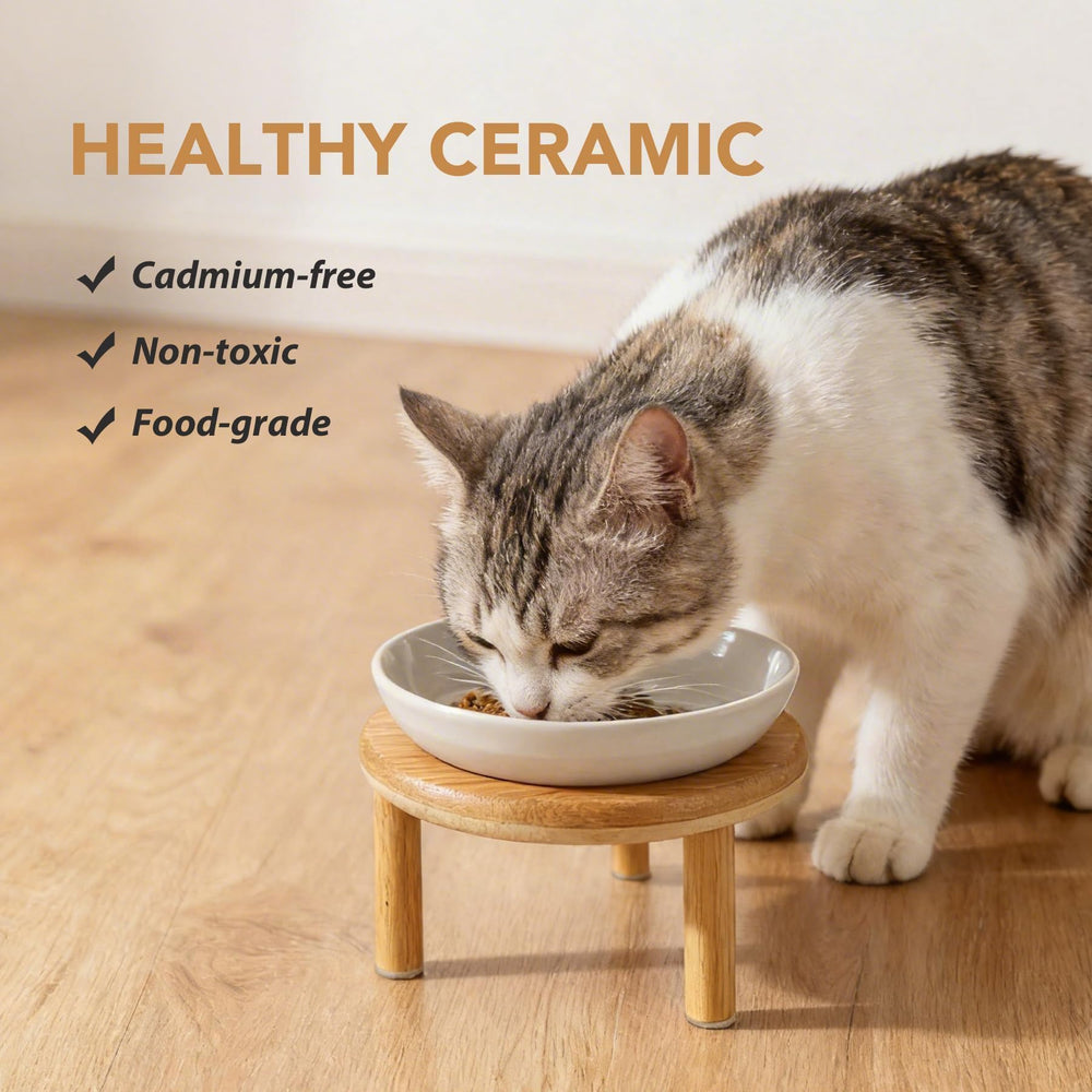 Havniva ensemble deux hauteurs pour adapter la gamelle au chat