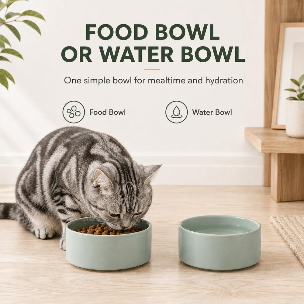 Gamelle Havniva posée en cuisine, pratique et esthétique