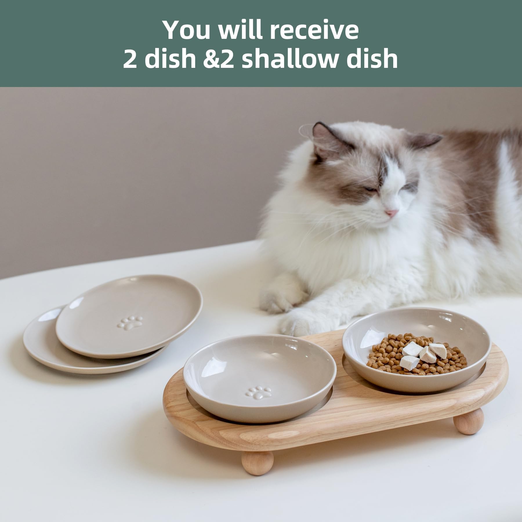 Havniva gamelle en usage par chat, posture de repas plus naturelle