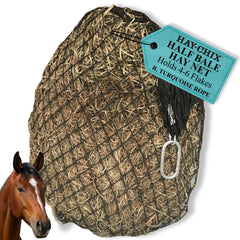 hay chix face avant montrant couleur turquoise et design pratique