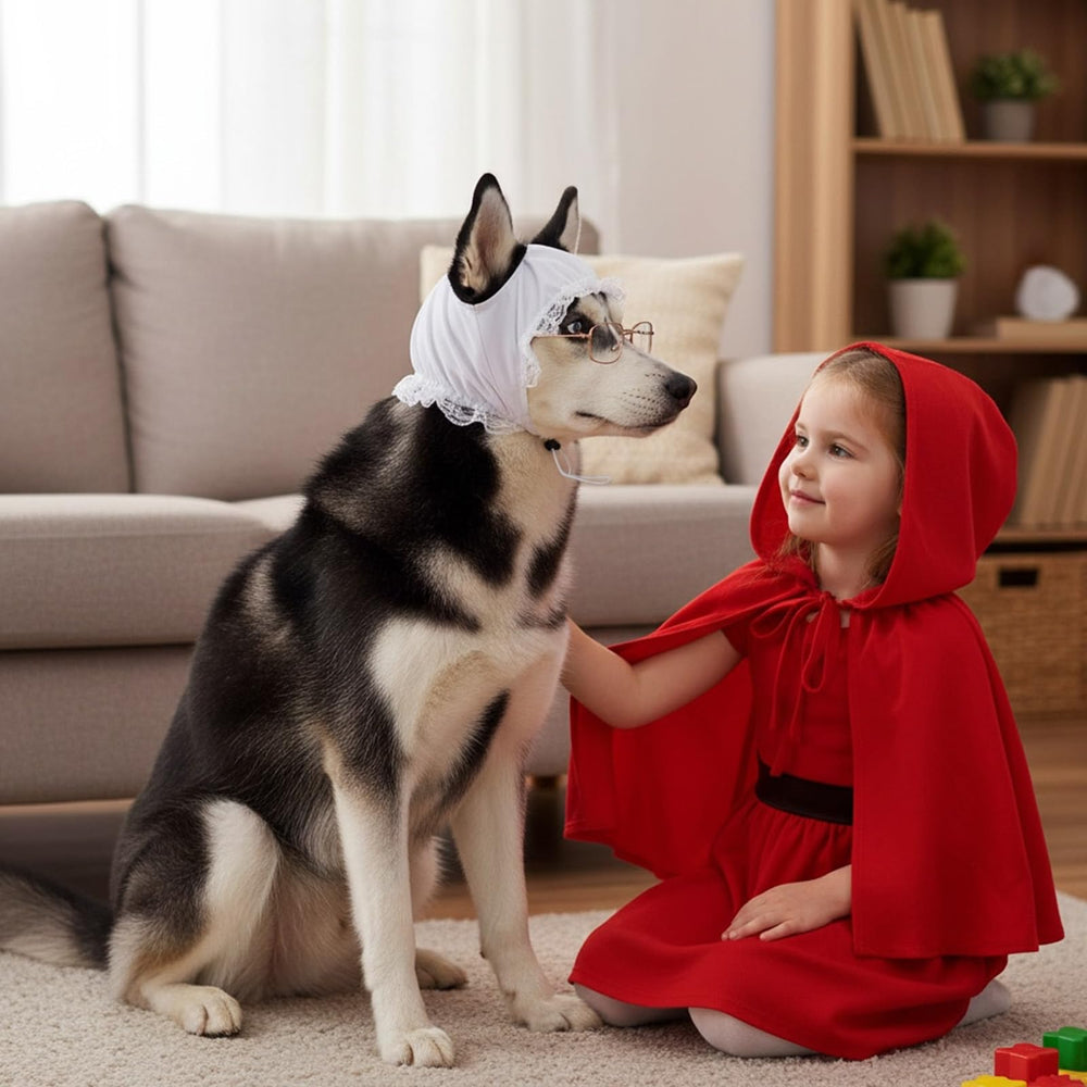 Haysandy comparaison taille bonnet pour ajuster à votre chien