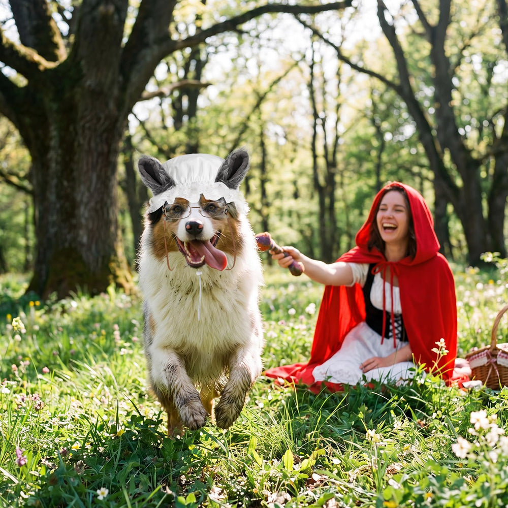 Haysandy ensemble complet porté par chien créant effet comique immédiat
