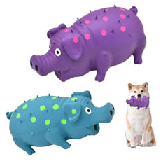 HCHYEY jouet cochon face avant montrant emballage attractif