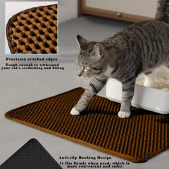 HCY&WLD chat sortant du bac sur le tapis, maintien propre de la zone