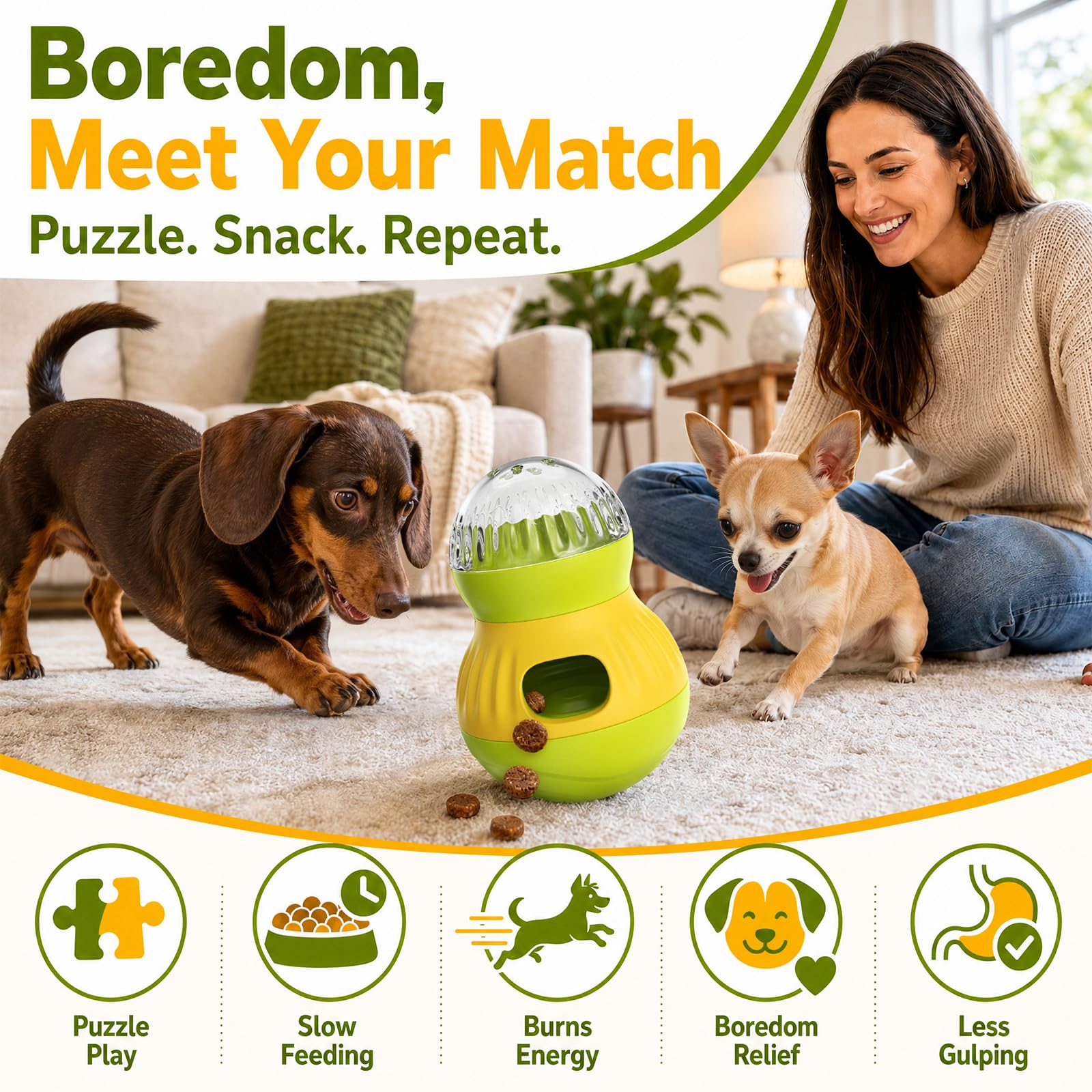 HCY&WLD comparaison de taille montre échelle adaptée petits chiens chats