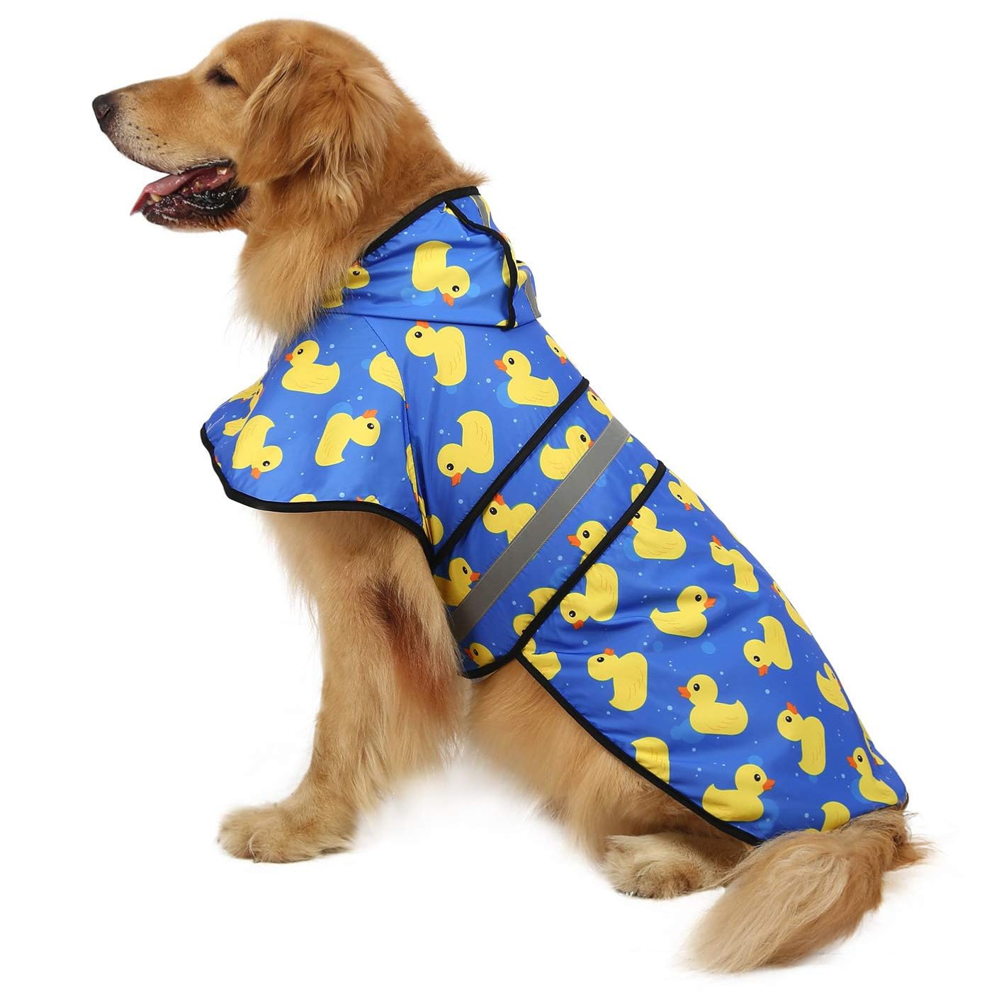 HDE imperméable pour chien vu de face offrant protection contre la pluie