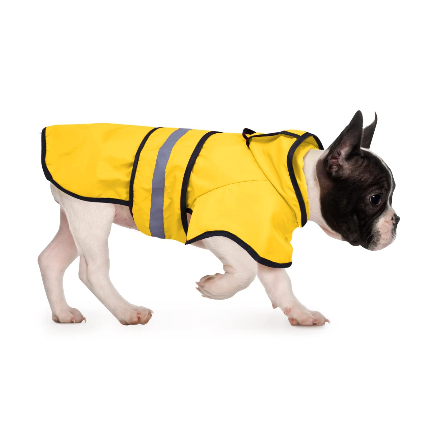 HDE manteau devant sur petit chien, protection imperméable visible