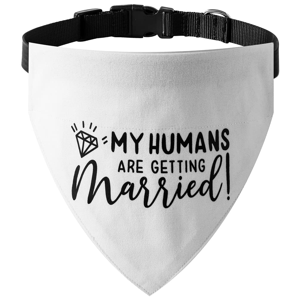 HDGDT bandana-collier face avant montrant le message festif et finition soignée