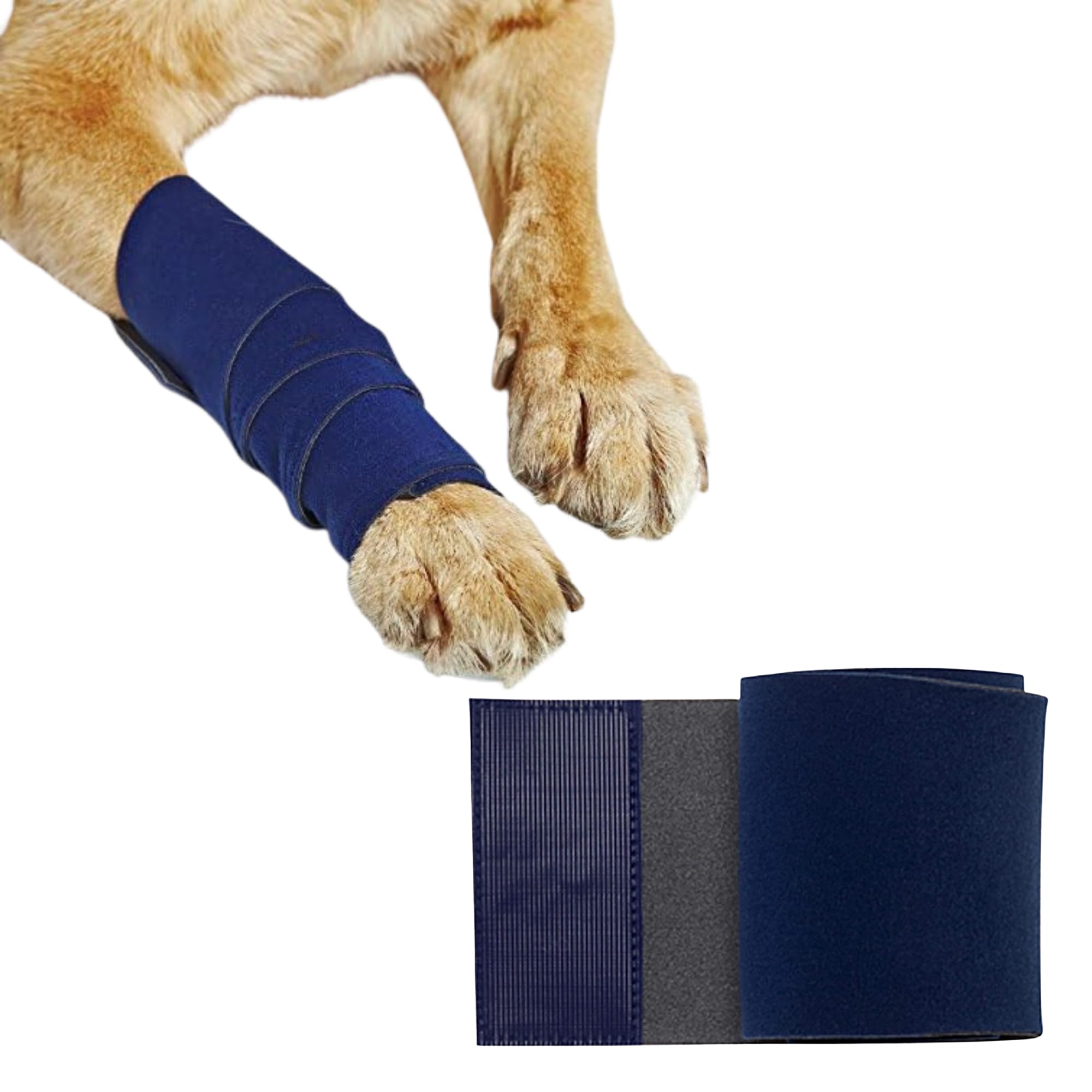 Healers bandage sur patte avant en emballage montrant la protection