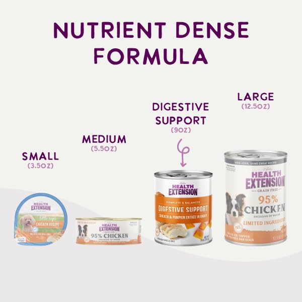 Health Extension ardoise recettes présentant variété et choix