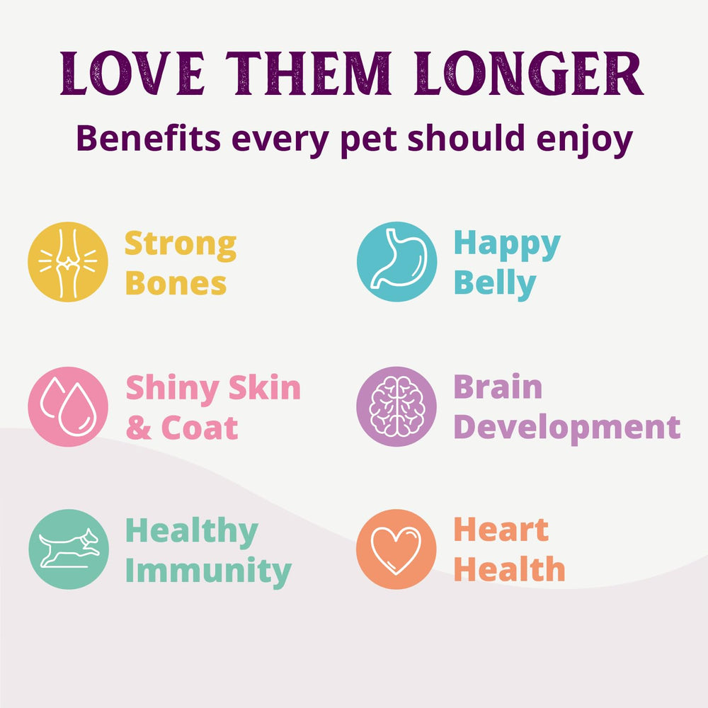 Health Extension chien mangeant à la maison démontrant acceptation élevée