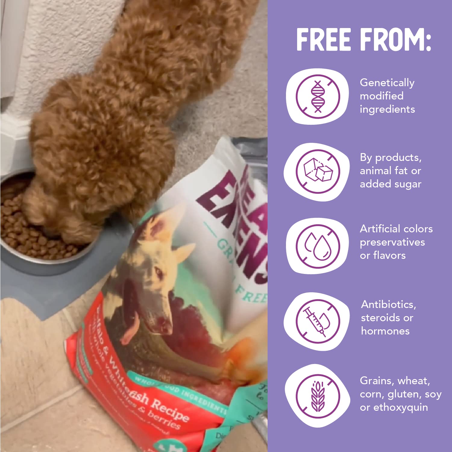 Health Extension emballage ouvert révélant croquettes pour fraîcheur et qualité