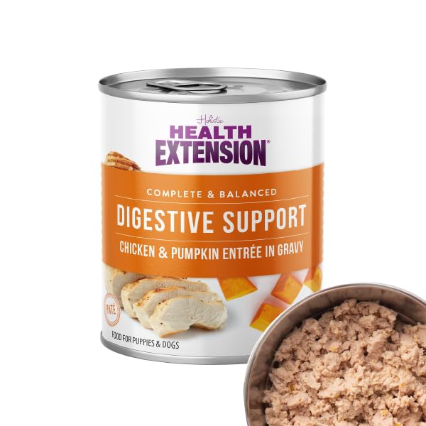 Health Extension portion servie sur assiette facilitant repas équilibré