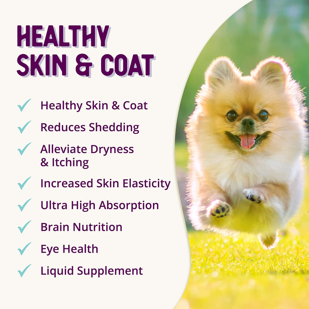 Health Extension chien à la maison montrant confort cutané et pelage soyeux