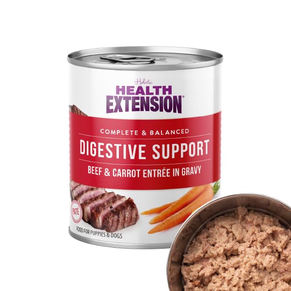 Health Extension gros plan potiron illustrant bienfaits digestifs