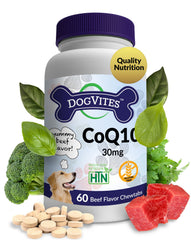 Health Thru Nutrition pot de Dog-Vites CoQ10 montrant l’emballage et la quantité