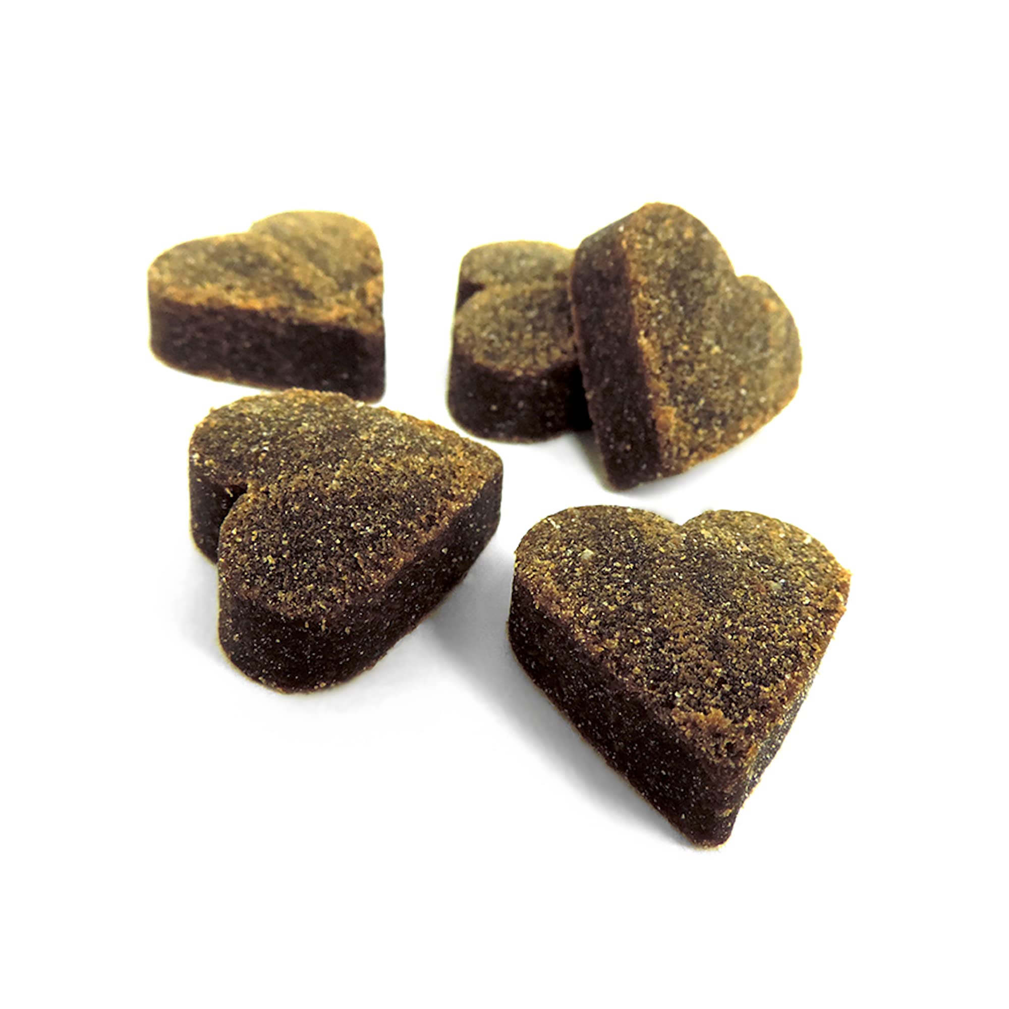 Healthy Breeds chien masticant la gomme illustrant acceptation et bien-être