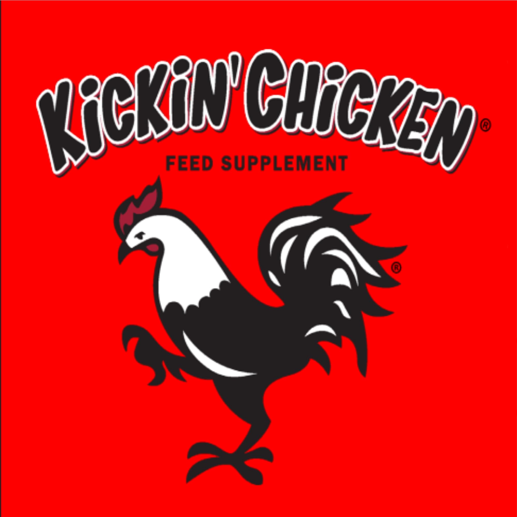 Healthy Coat Kickin Chicken dans un poulailler avec poules heureuses montrant usage quotidien