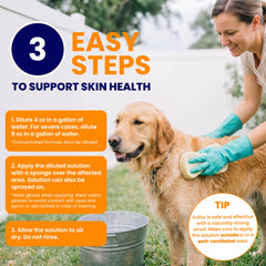 Application sur chien avec Healthy Paw Life pour confort cutané