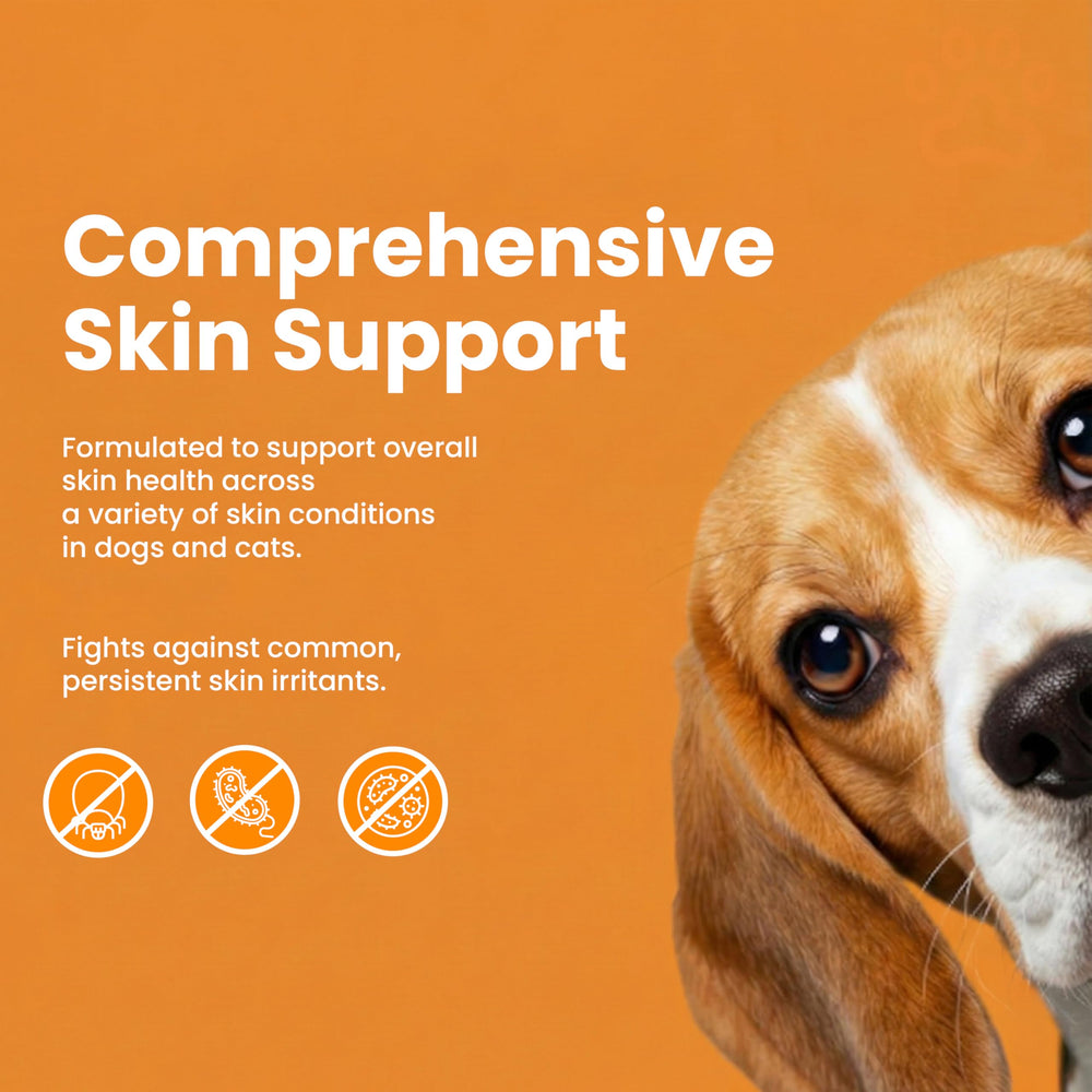 Healthy Paw Life comparaison avant-après montrant amélioration visible cutanée