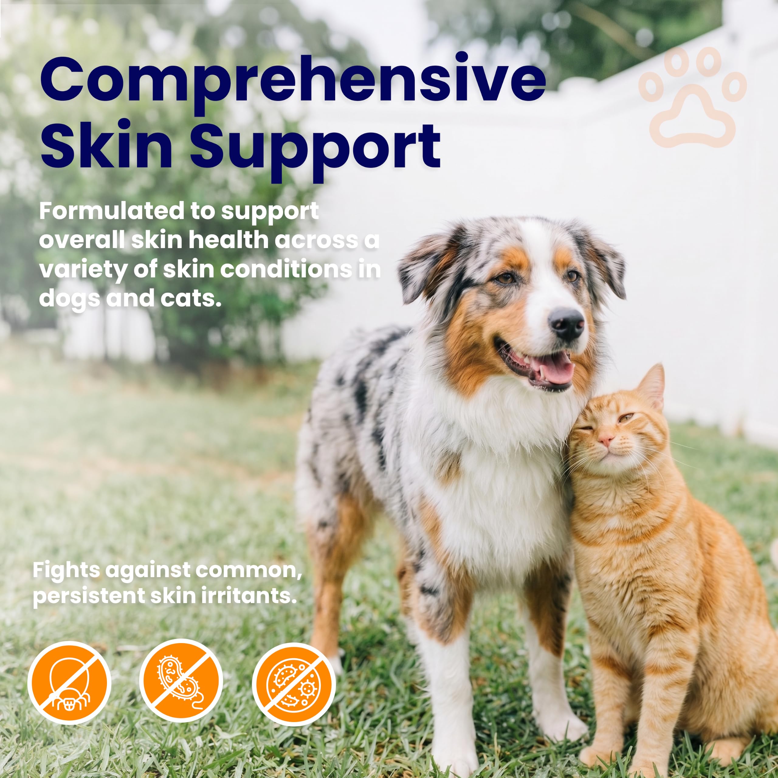Bouteille Healthy Paw Life en contexte vétérinaire pour usage professionnel