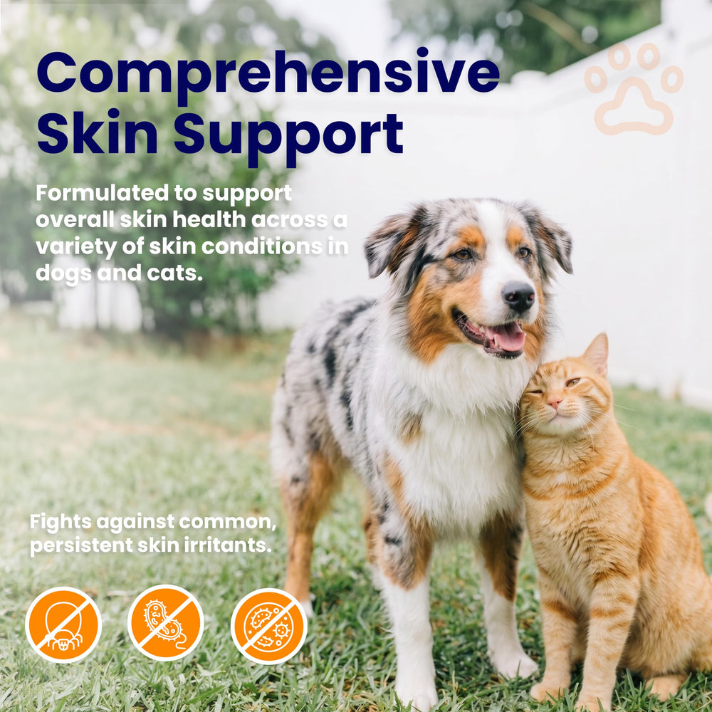 Bouteille Healthy Paw Life en contexte vétérinaire pour usage professionnel