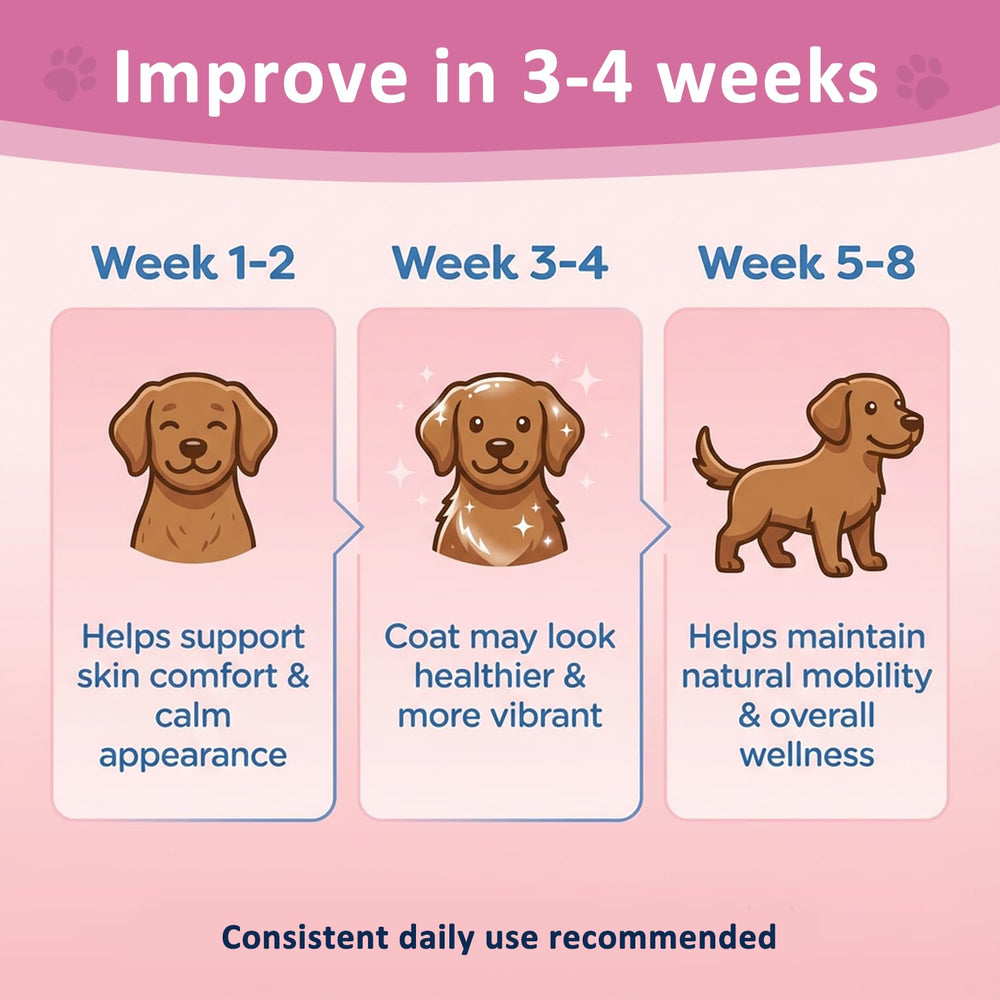 Healthy Petz gros plan sur l'embout facilitant un dosage précis et propre