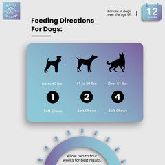Healthy Solutions chien prenant la friandise en extérieur pour comportement amélioré
